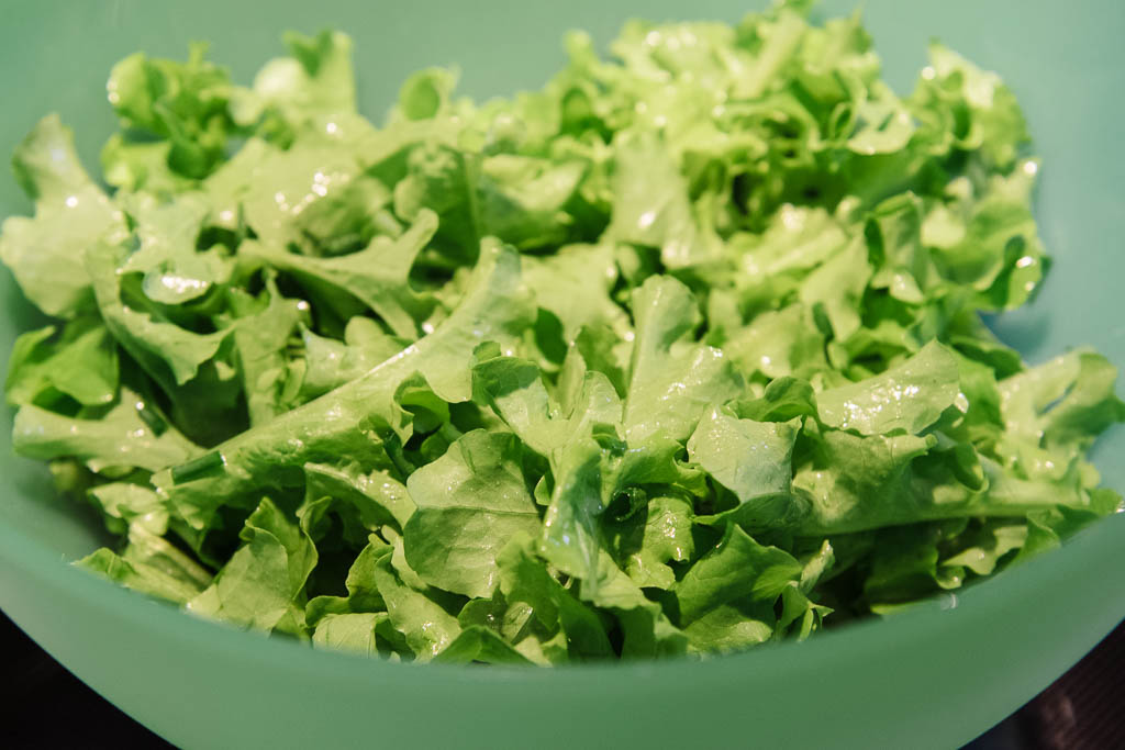 salade-chene_04694