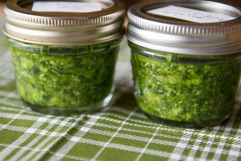 pesto_06564