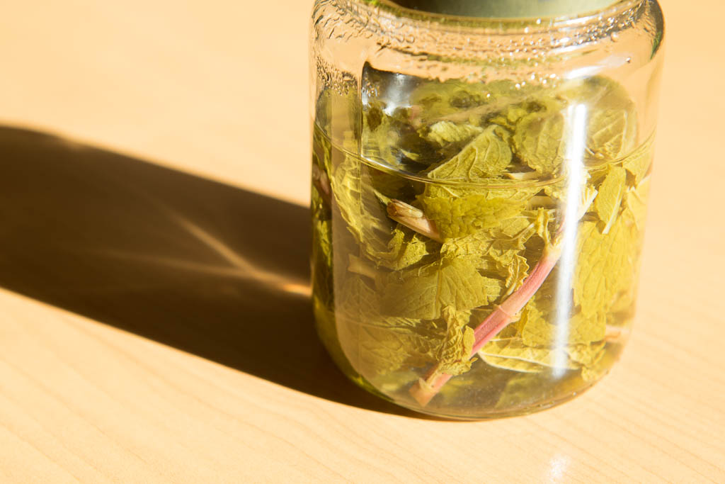 vinaigre-menthe_03691 (1)
