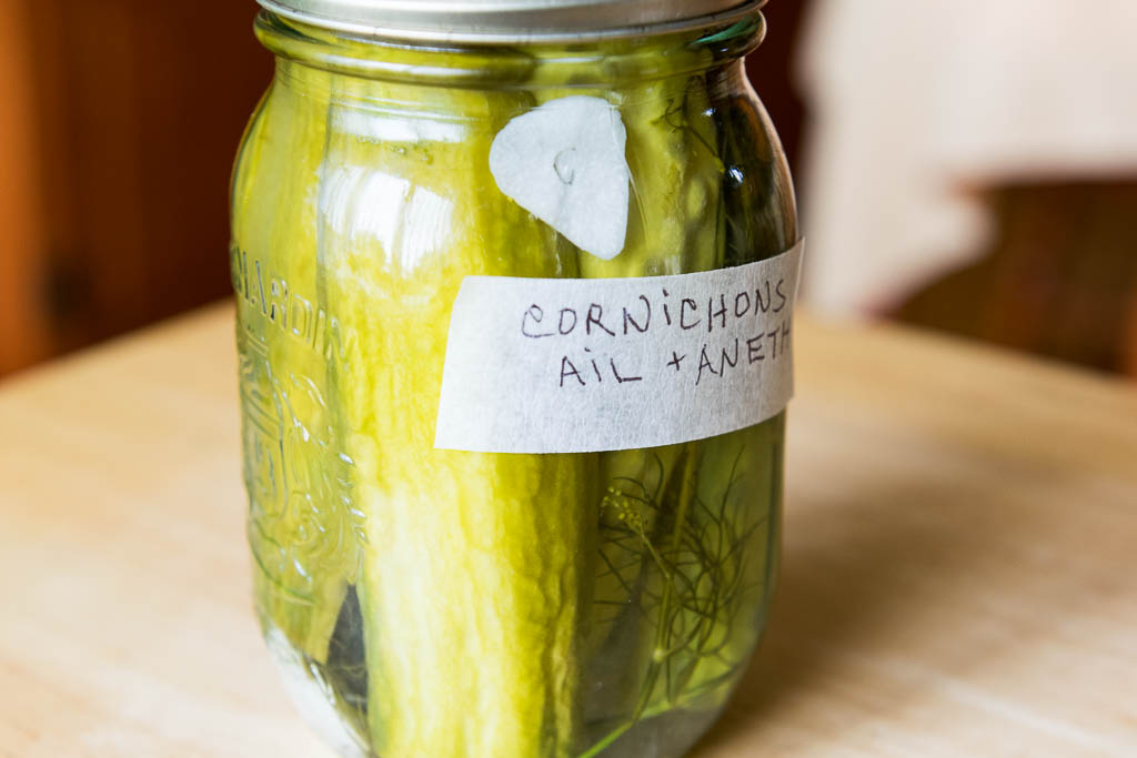 cornichons-ail-aneth_1097