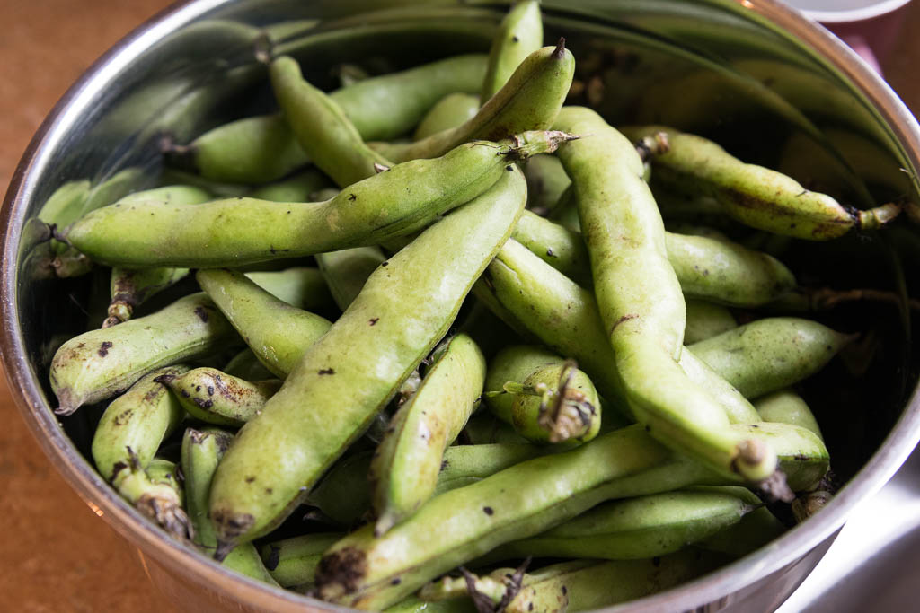 gourganes_1105