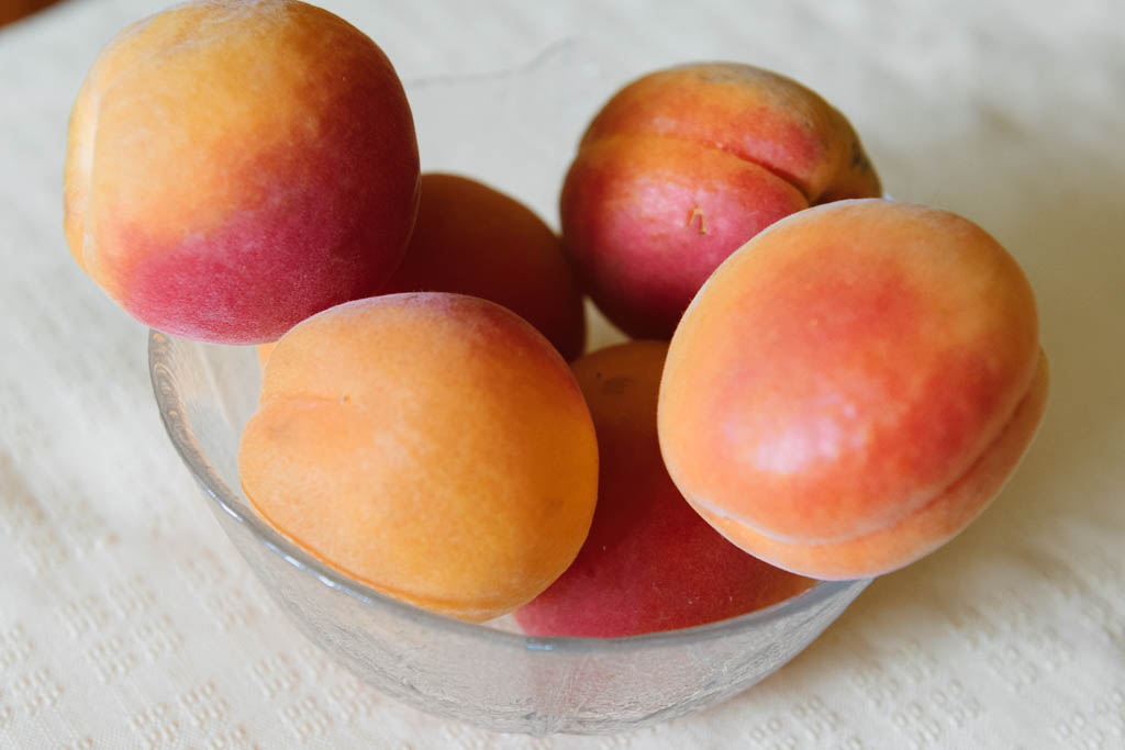 abricots_1107