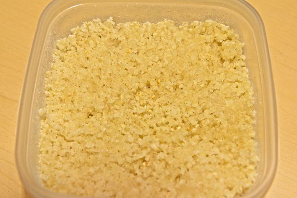 millet-congele_1579