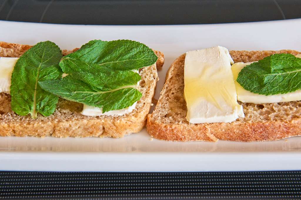 canapes-seigle_1919
