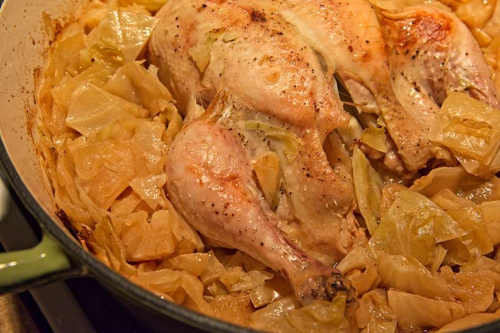 poulet-chou_1391