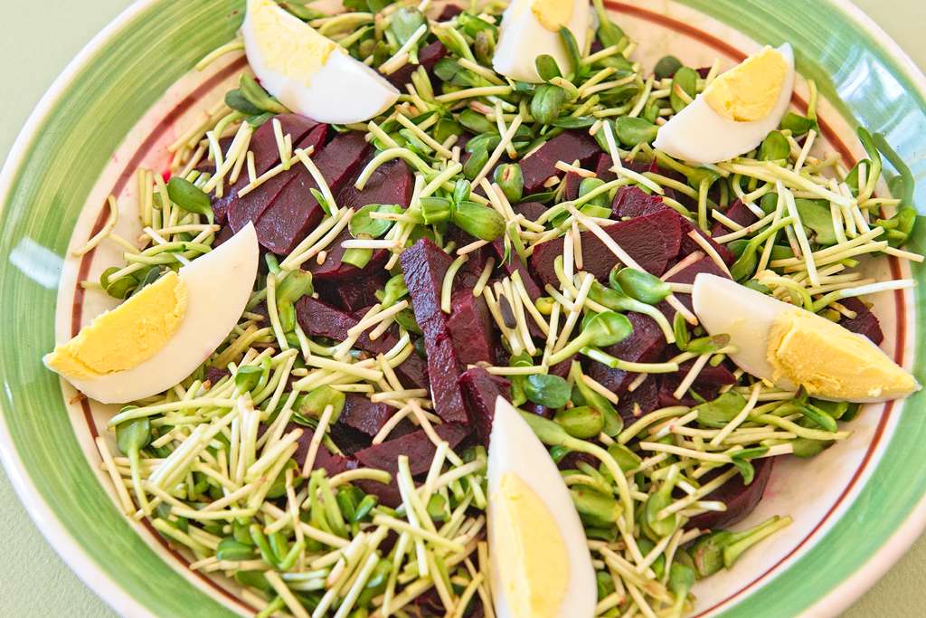 salade-betteraves-cresson_1985