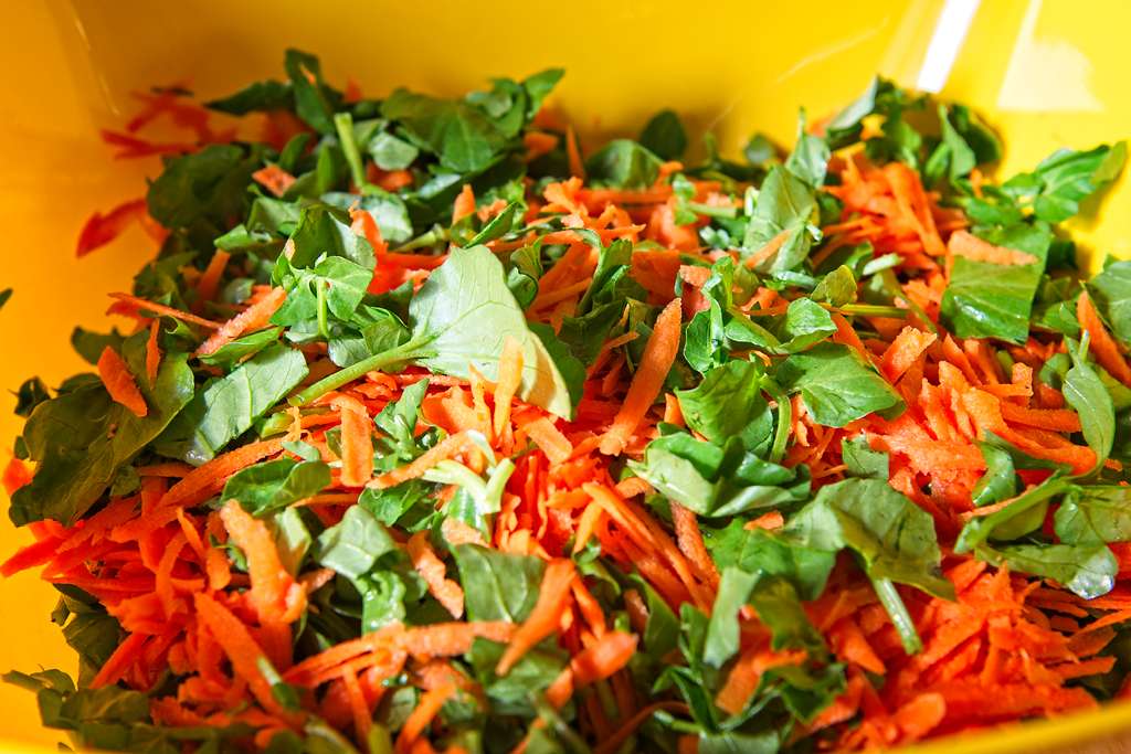 salade-carottes-cresson_1831