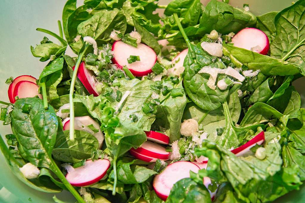 salade-depinards_1525