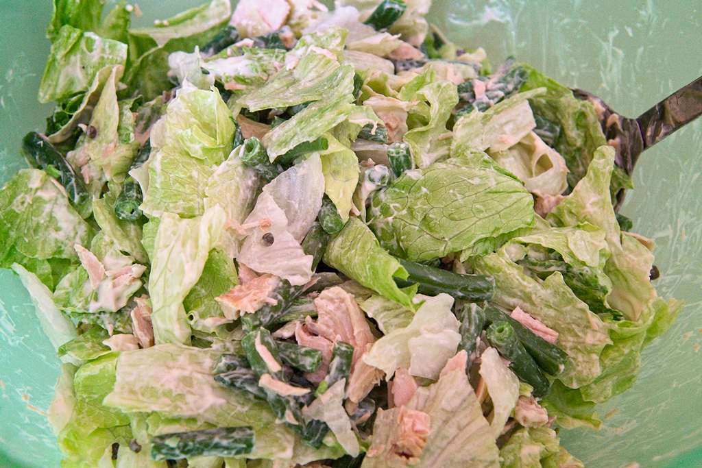 salade-dinde_1741
