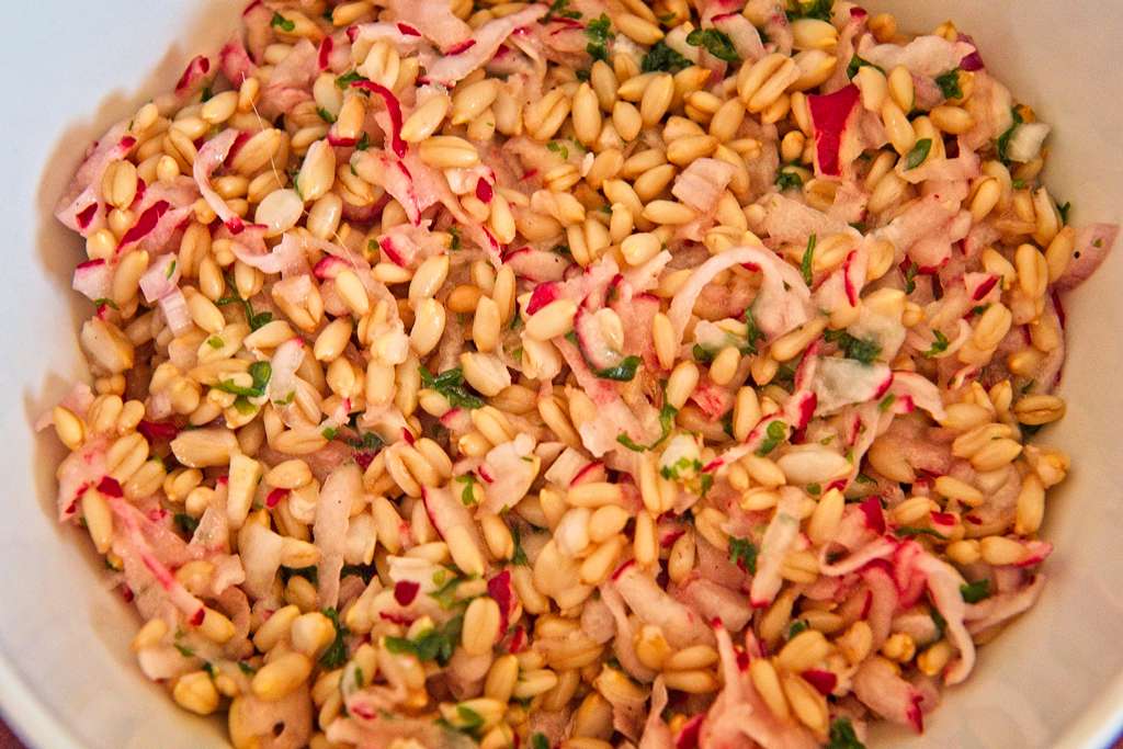 salade-rose_2102