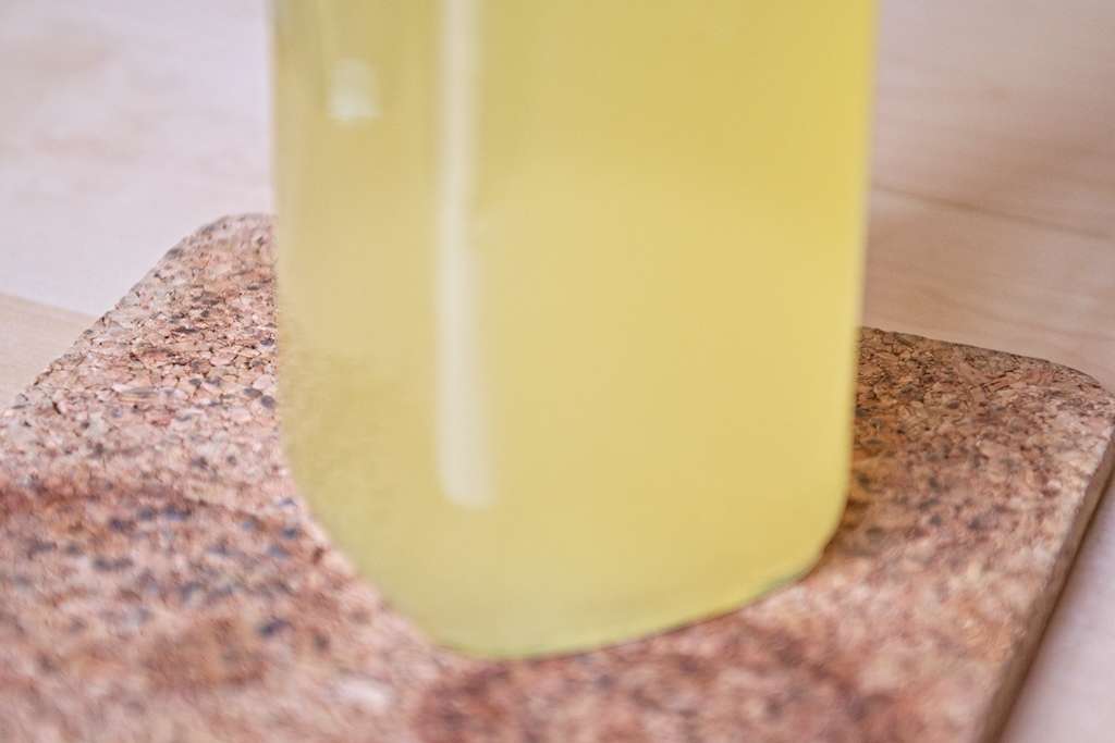 bouillon-veau_2529