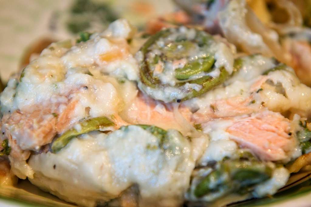 gratin-saumon_0468