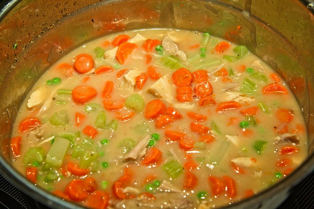 ragout-dinde_1669