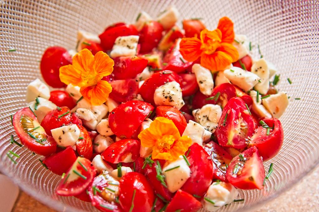 salade-tomate-fr-gr_1194