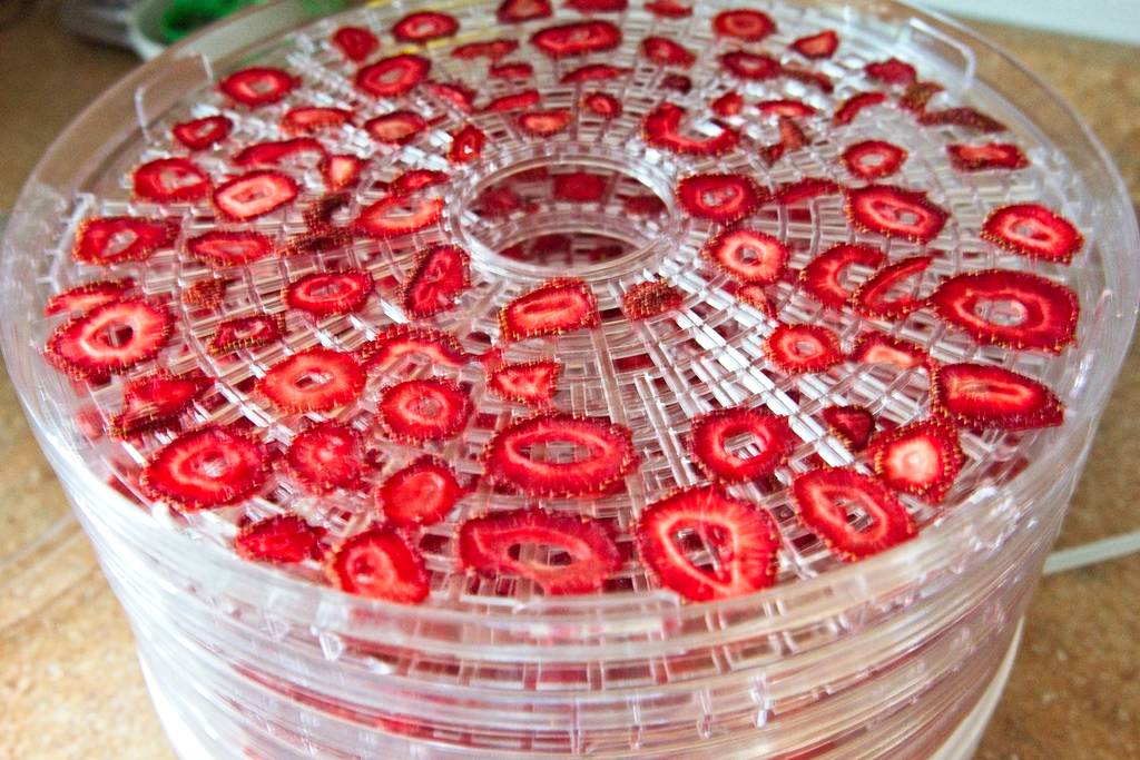 fraises-sechees_2633