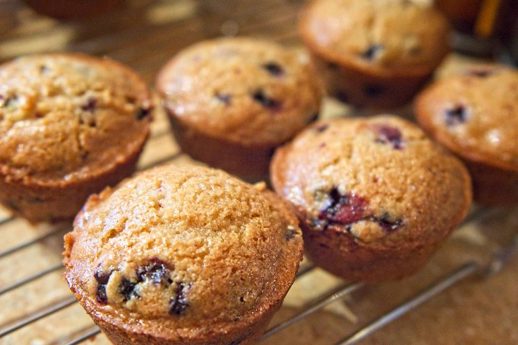 muffins-bleuets_1339