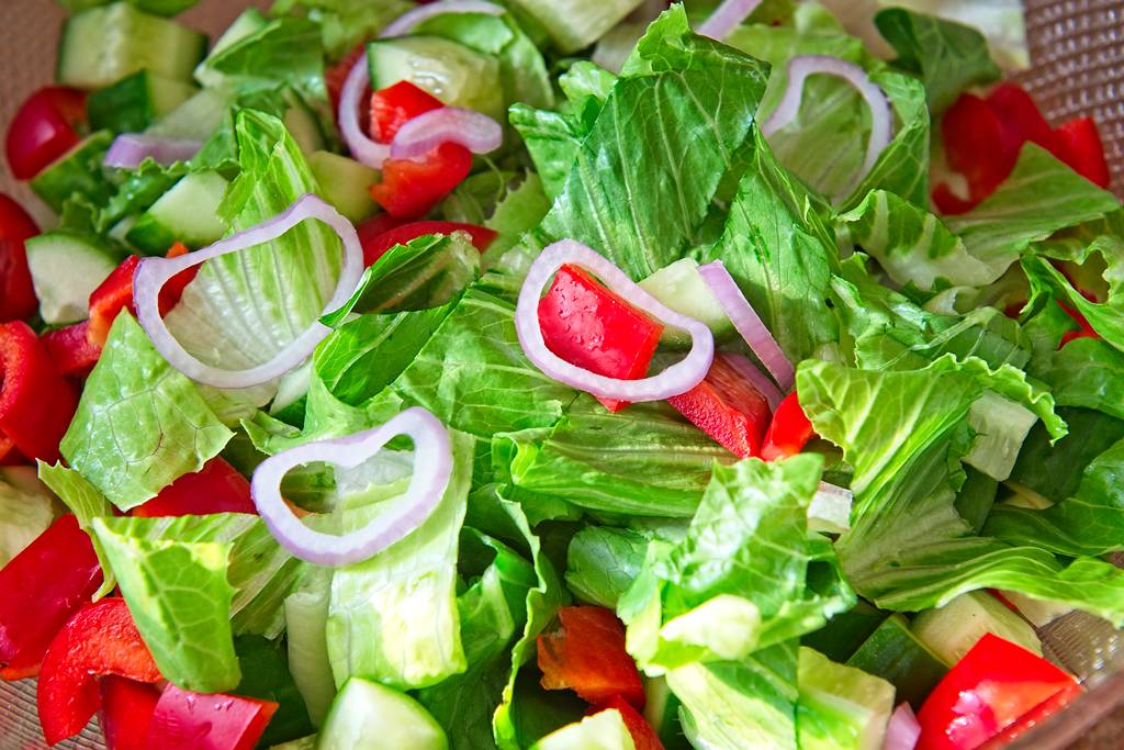 romaine-conc_1494