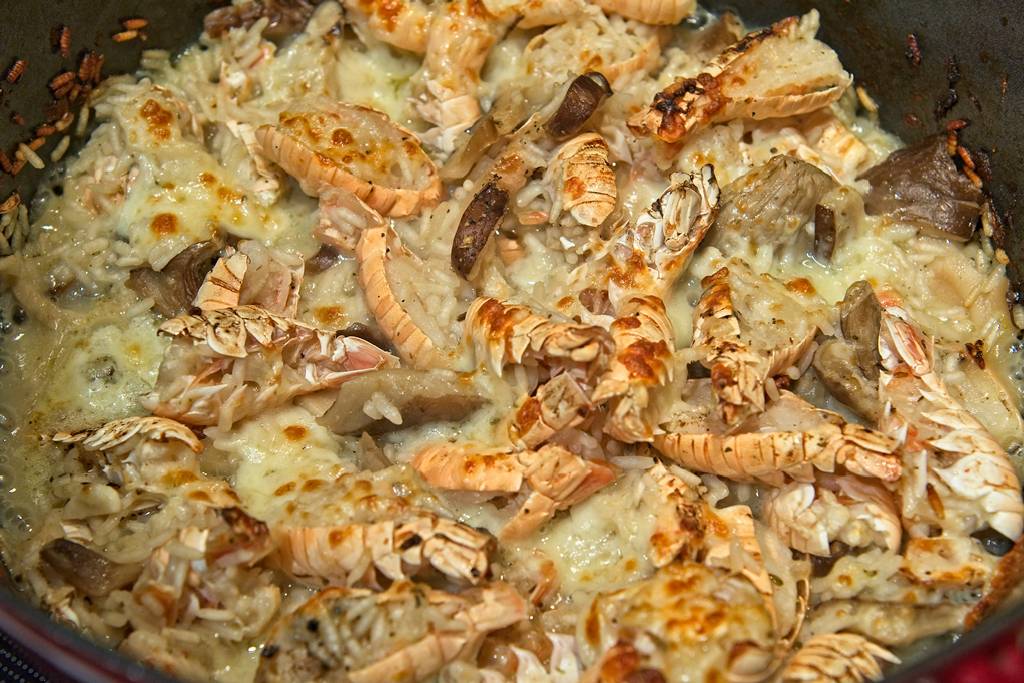 gratin-langoustines_3336