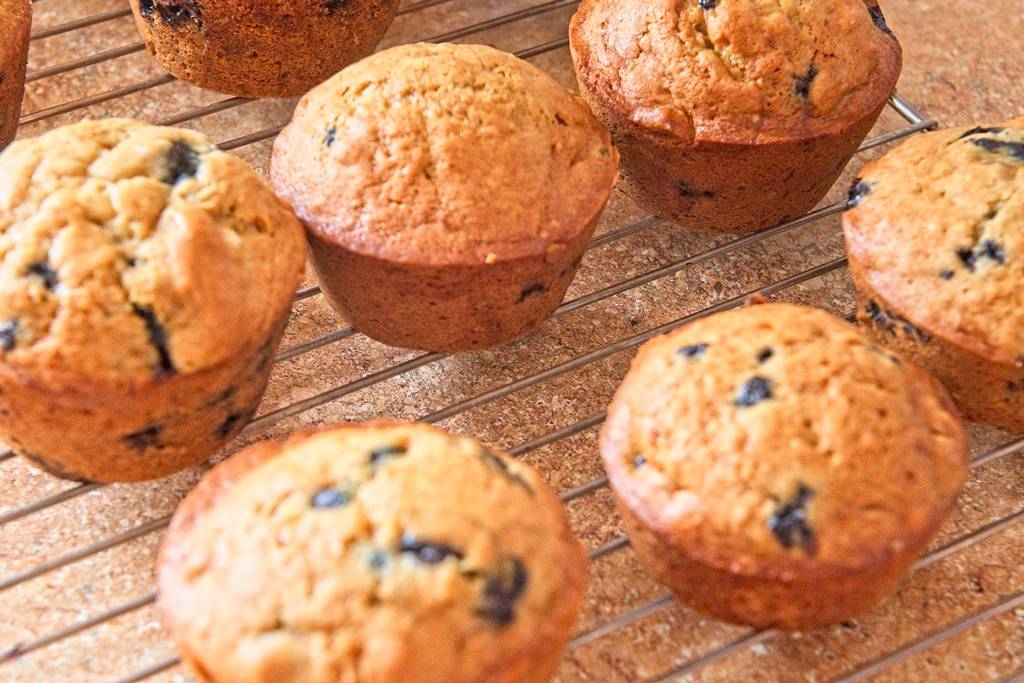 muffins-noix-bl_3646