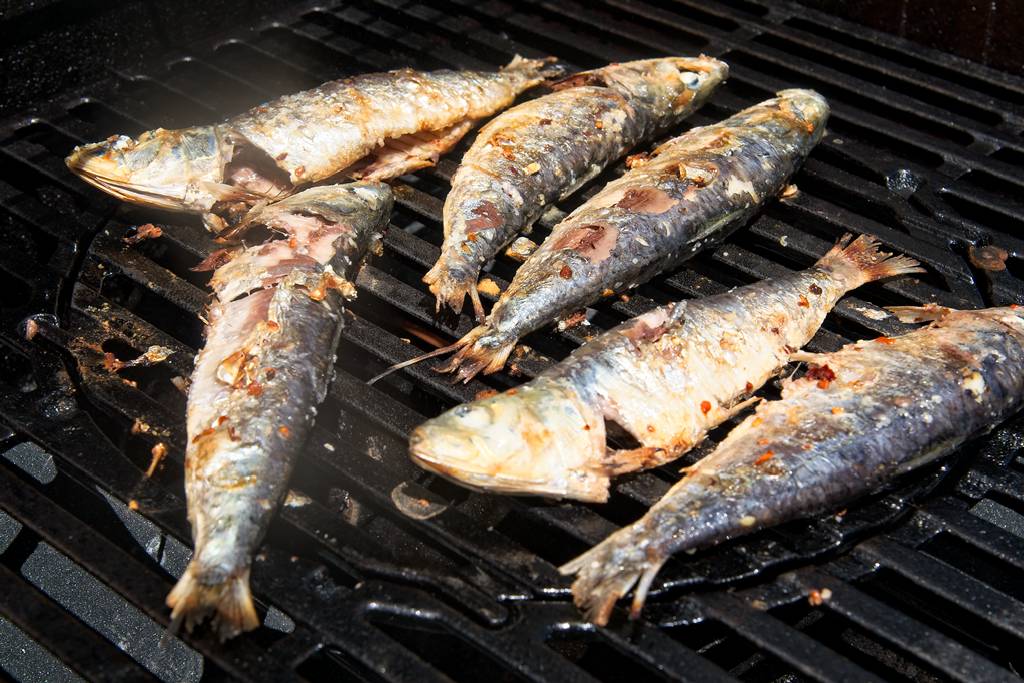 sardines_3704