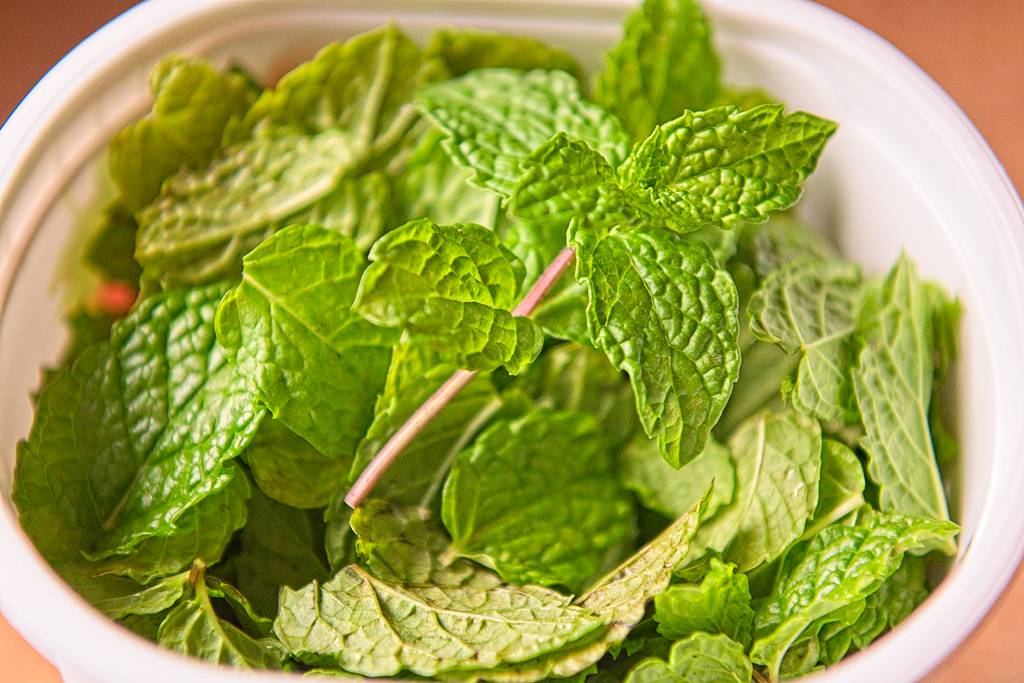 menthe-cong_4125