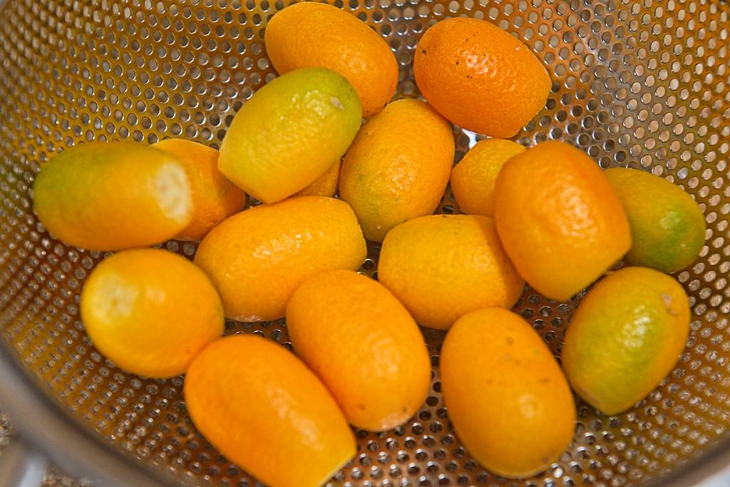 kumquat_4325