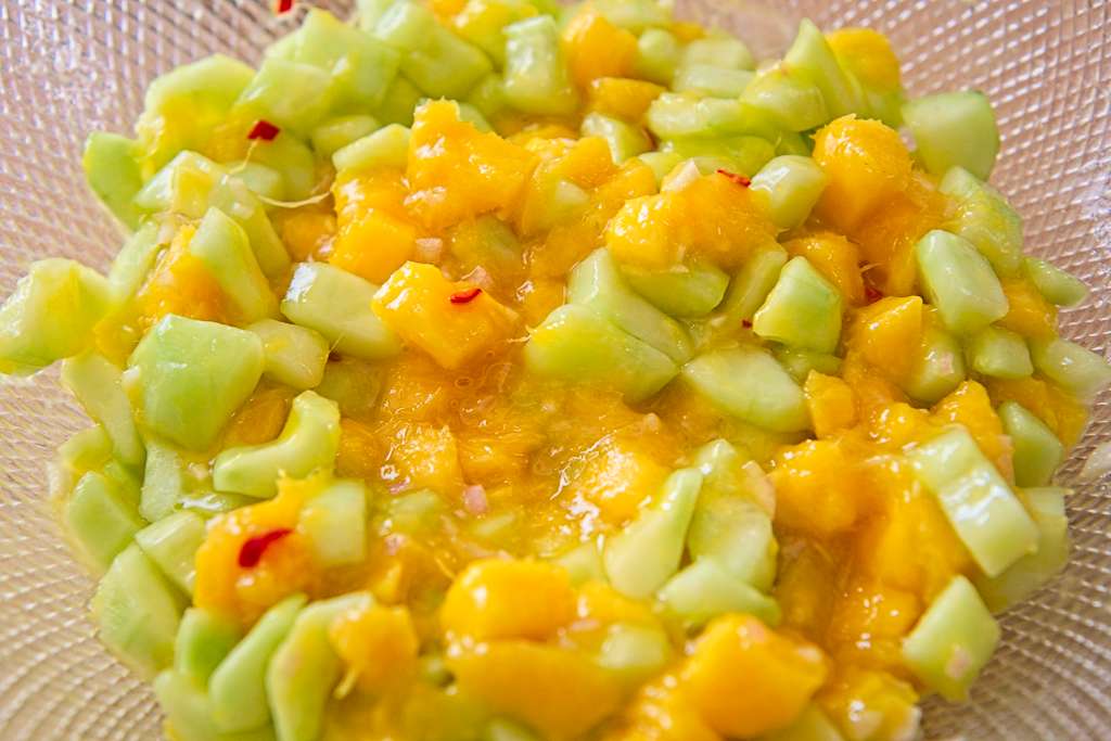 sal-conc-mangue_6032