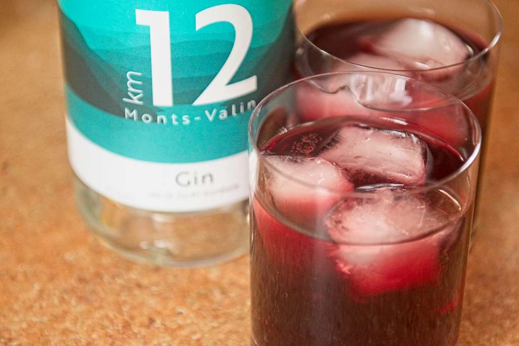gin-12-km_6363
