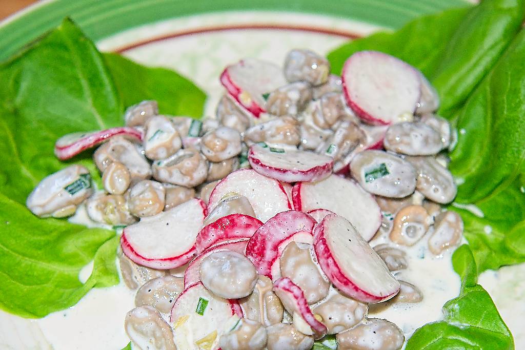 sal-radis-gourganes_6856
